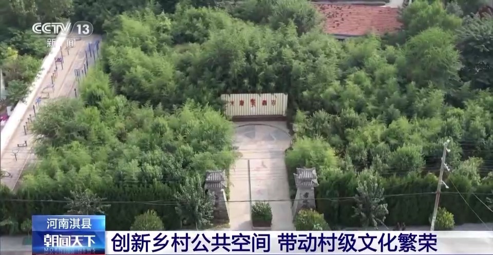 百富白菜